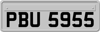 PBU5955