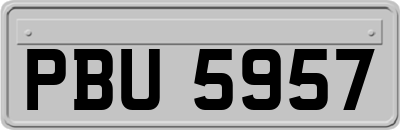 PBU5957