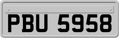 PBU5958