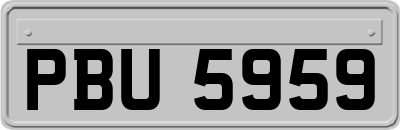 PBU5959