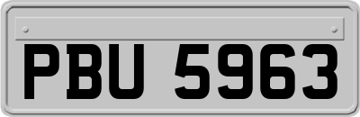 PBU5963