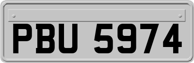 PBU5974