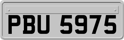 PBU5975