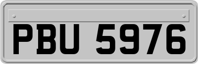 PBU5976