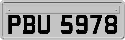 PBU5978