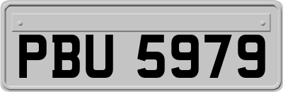 PBU5979