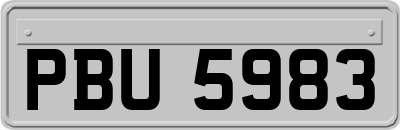 PBU5983