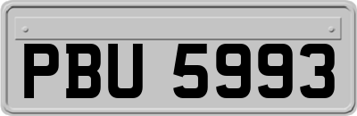 PBU5993