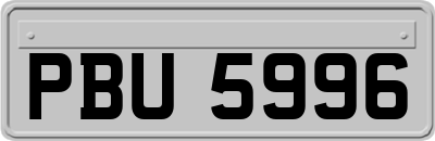 PBU5996