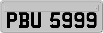 PBU5999