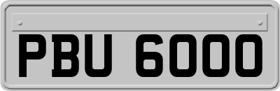 PBU6000