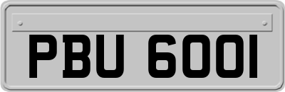 PBU6001