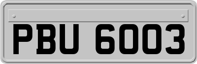 PBU6003