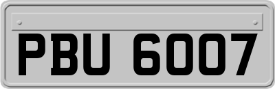 PBU6007