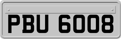 PBU6008