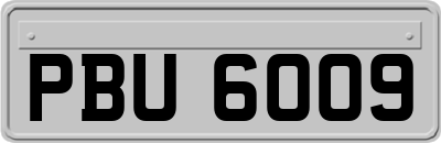 PBU6009