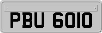 PBU6010