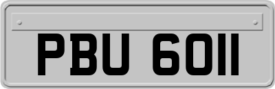 PBU6011