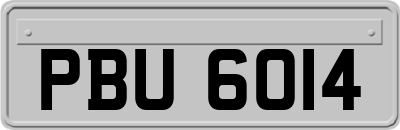 PBU6014