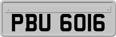 PBU6016