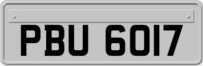 PBU6017