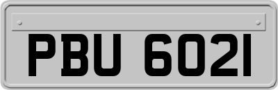 PBU6021