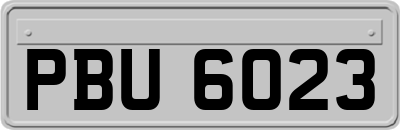 PBU6023