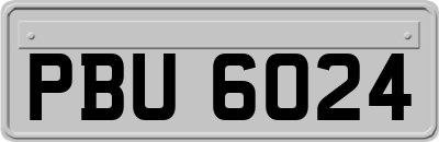 PBU6024