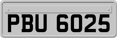 PBU6025