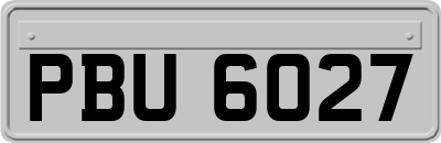 PBU6027