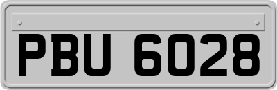 PBU6028