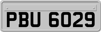 PBU6029