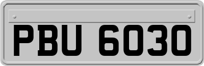 PBU6030