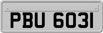 PBU6031