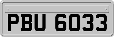 PBU6033