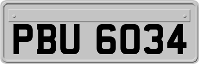 PBU6034