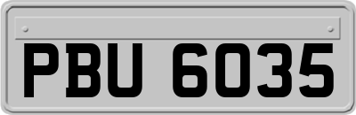 PBU6035