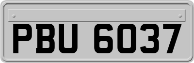 PBU6037