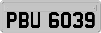 PBU6039