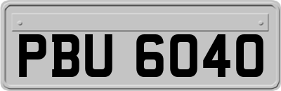 PBU6040