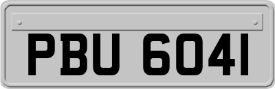 PBU6041