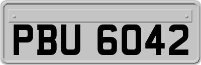 PBU6042