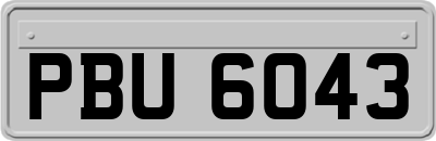 PBU6043