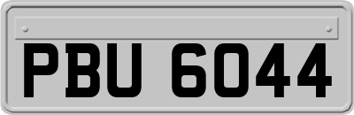 PBU6044