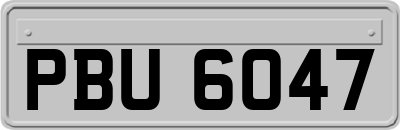 PBU6047