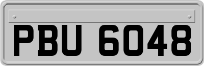 PBU6048