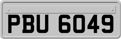 PBU6049