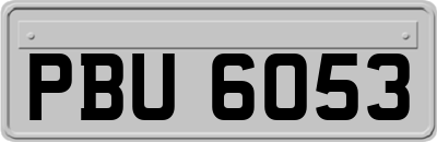 PBU6053