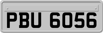 PBU6056