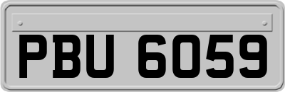 PBU6059